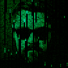 1-1 Masterclass Carding - Online Coaching via Team Viewer