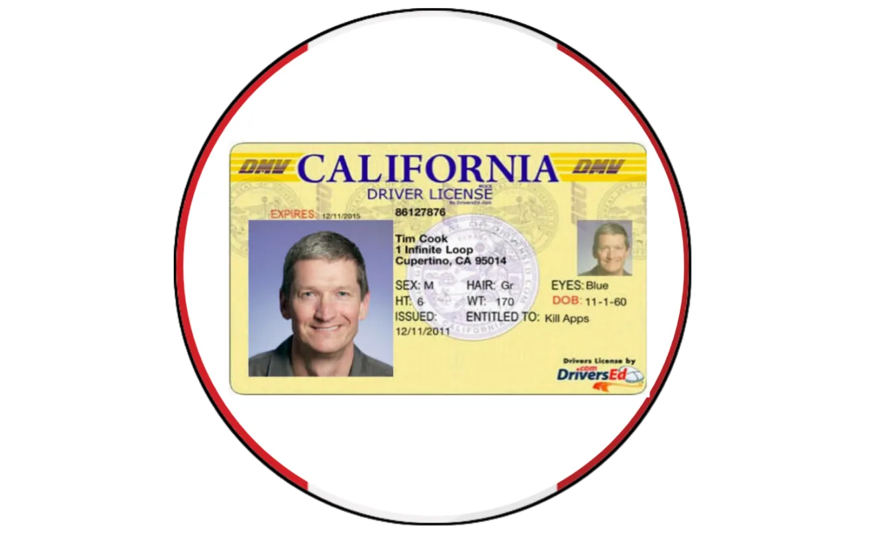 Driving License – USA (All States)