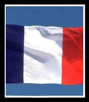 3 FRANCE VISA CC/CVV WITH €4,000-8000 BALANCE