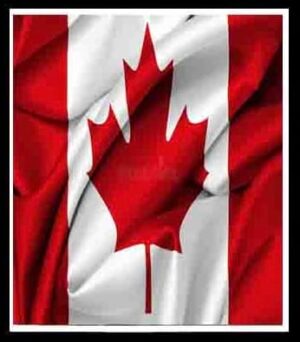 CANADA CCV WITH CREDIT HIGH LEVEL FRESHLY SNIFFED