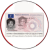 Driver License - France