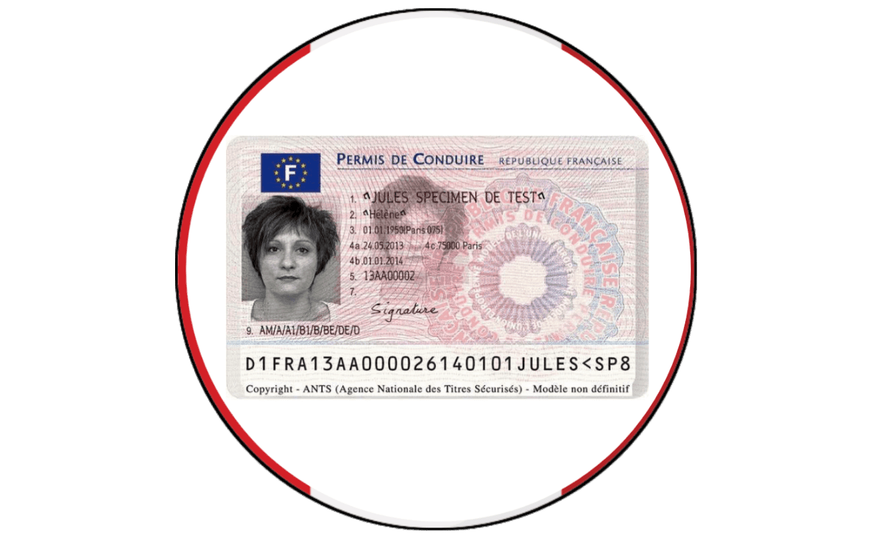 Driver License - France
