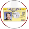 Driving License - USA (All States)