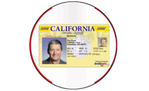 Driving License - USA (All States)