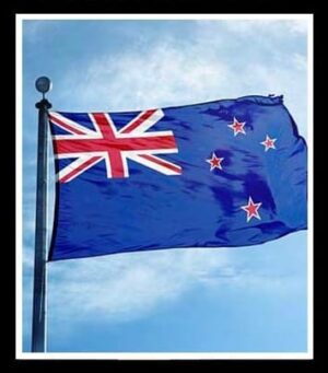 NEW ZEALAND CCV 99% VALID SNIFFED | CREDIT HIGH LEVEL